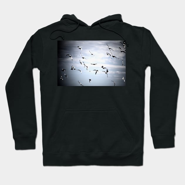 Die Vögel / Swiss Artwork Photography Hoodie by RaphaelWolf